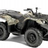 Yamaha Grizzly 450 Special
