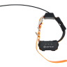 Купить дополнительный GPS-ошейник ARTELV COLLAR