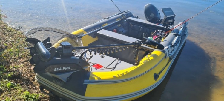 Лодочный электромотор SEA-PRO 65L 54" GPS